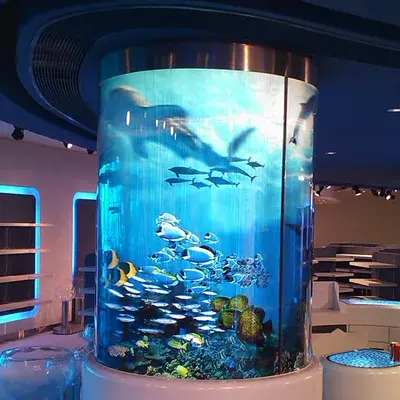 شیشه خم آکواریوم